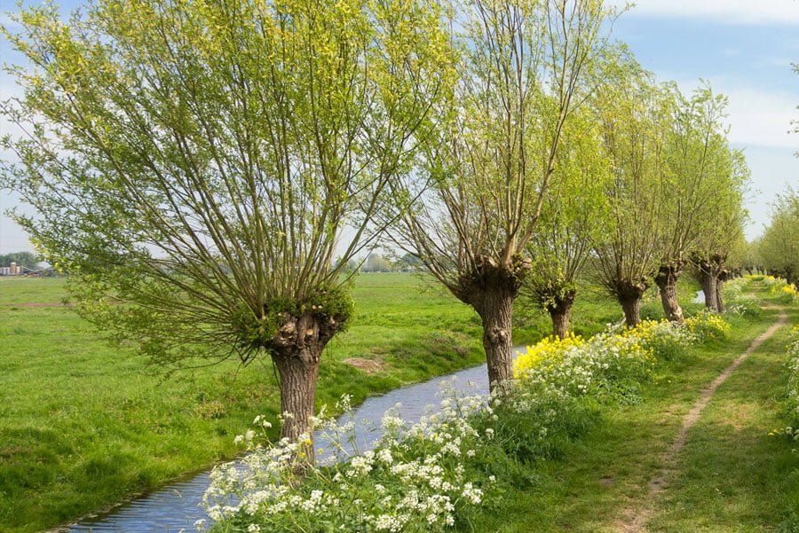 Emdr Therapie Leiden